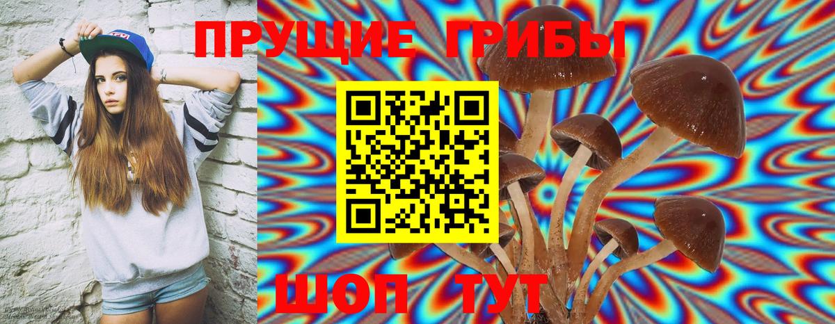 Псилоцибиновые грибы ЛСД Боровичи