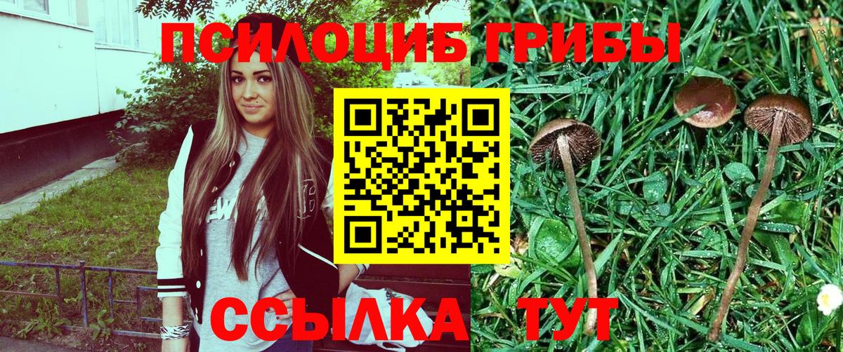 Боровичи  закладка  Вход с VPN  Галлюциногенные грибы Magic Shrooms 